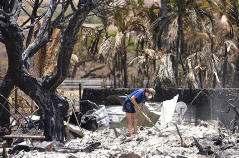 Hawaii works to identify 99 confirmed dead after Maui wildfires as teams intensify search